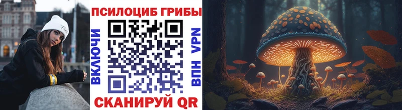 где продают наркотики  сайты даркнета Telegram  Псилоцибиновые грибы Psilocybine cubensis  Екатеринбург 