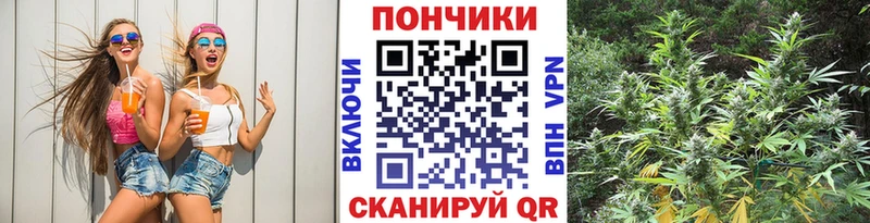 Конопля гибрид Екатеринбург