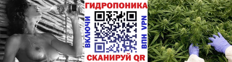 Бошки марихуана планчик где купить наркоту Екатеринбург